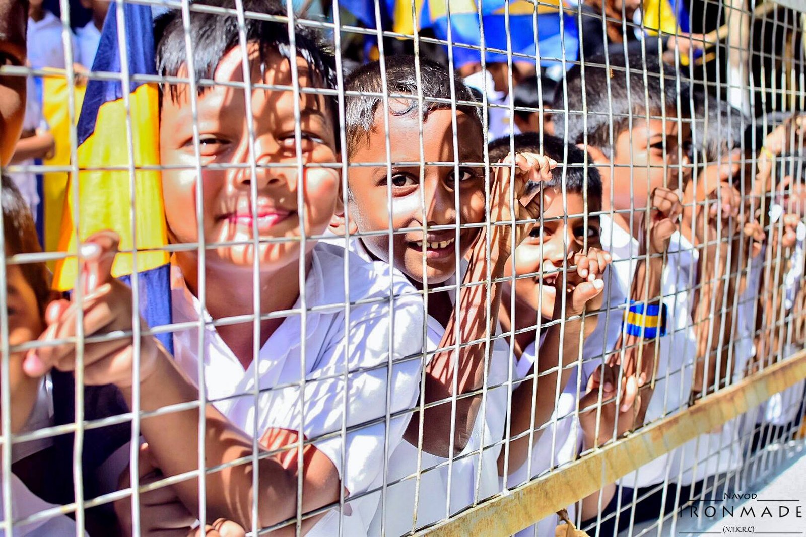 March Madness Bracket 2026 Status